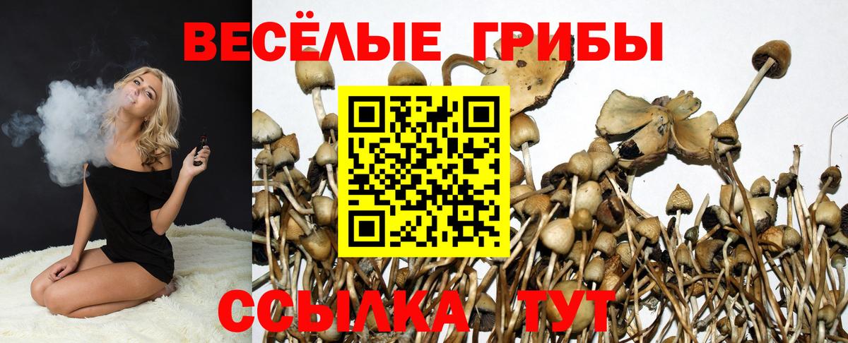 Галлюциногенные грибы прущие грибы  Псилоцибиновые грибы Cubensis  Вход с VPN  Малоярославец 